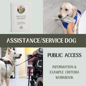 May include: Image showing a workbook titled "Public Access Assessment" with the text "Information & Example Criteria." The image also shows a Golden Retriever with a blue bandana, a white dog with a harness, and the words "Assistance/Service Dog."