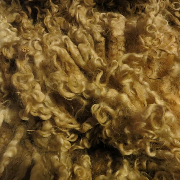 Heritage Leicester Long Wool / Raw / Spinning / Doll Hair