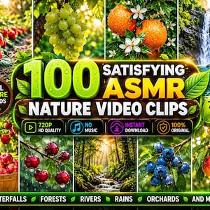 100 tillfredsställande ASMR-naturvideor | Avkopplande skog, vattenfallsklipp (digital nedladdning)