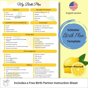 Birth Plan, Editable Printable Template for Doula, Natural Preferences, Custom Checklist for New Moms, editable birth plan in canva