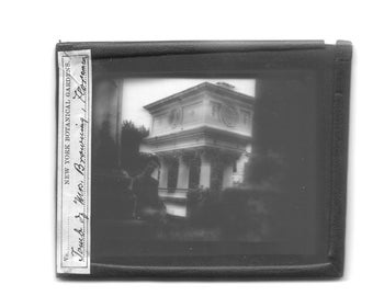 Magic Lantern Slide Elizabeth Barrett Browning's Tomb / Photography Collectible / Lantern Slide / New York Botanical Gardens Collection