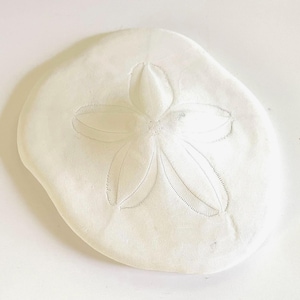 Domed Sea Biscuit Shell: Large White Natural Seashell 6.75" x 5.25" Nautical Decor