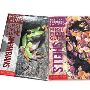 May include: Two open books from the National Audubon Society's First Field Guide series. One features a green tree frog, the other a collection of seashells. The book covers are red, white, purple, and gray.