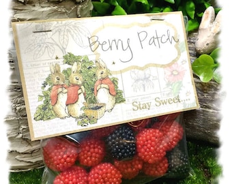 Miss Mopsy Rabbit's BERRY PATCH Candy Bag Tags - Beatrix Potter Party Favor Kit