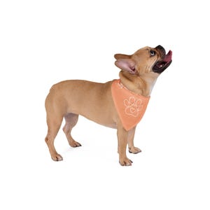I&#39;m Why We Can&#39;t Have Nice Things Pet Bandana - Stylish Dog Accessory, Cute Pet Gift,  Fashionable Dog Scarf, Pet Lovers, Dog Gift