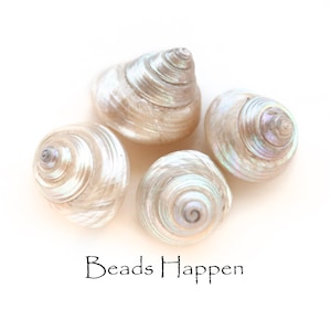 May include: Four iridescent white seashells with a spiral pattern. The text "Beads Happen" is written below the shells.