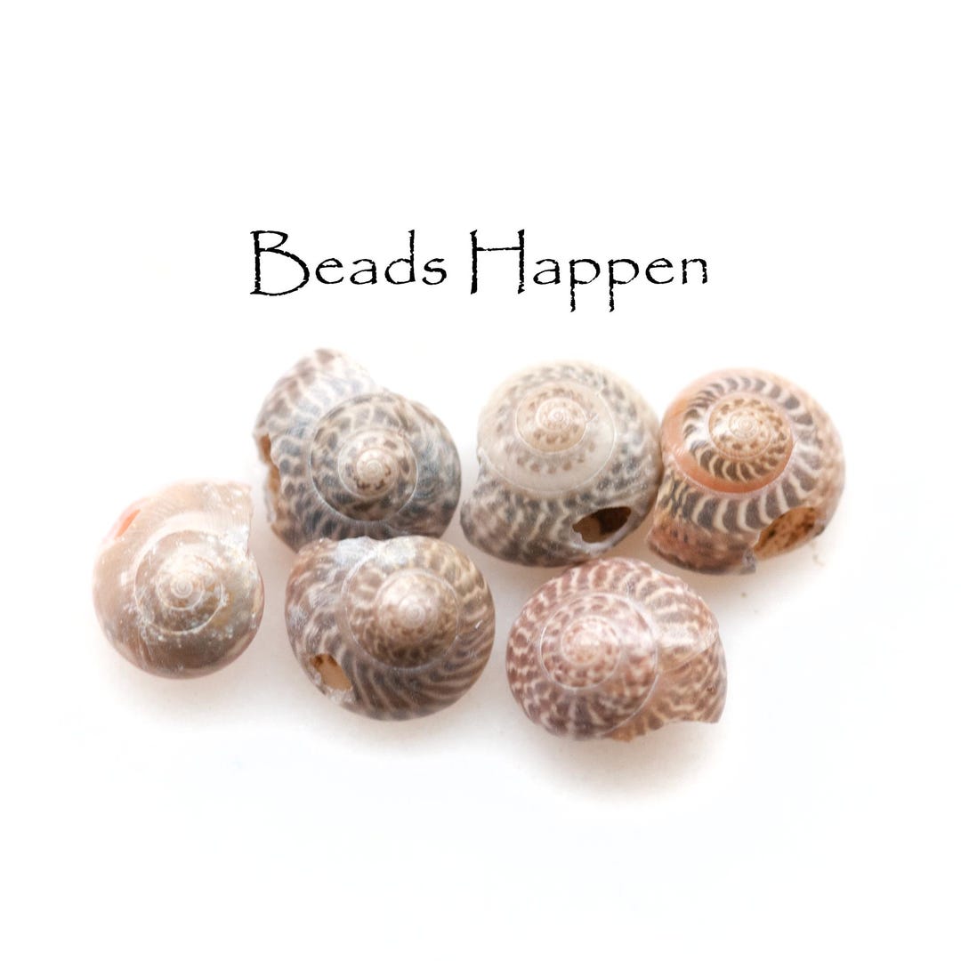 7-8mm Tiny Natural Shell Beads With One 1 Hole, Spiral Shell Beads ...