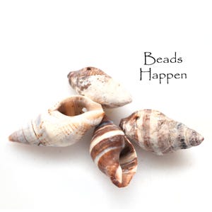 16-20mm Natural Shell Beads with One 1 Hole, Spiral Pointed Shell Beads, Limited Supply, Beachy, Seashell, Quantity 4