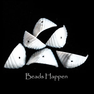 May include: A group of six white ceramic shell-shaped beads with a hole in the center of each bead. The beads are arranged in a pile on a black background. The text "Beads Happen" is written in white below the beads.