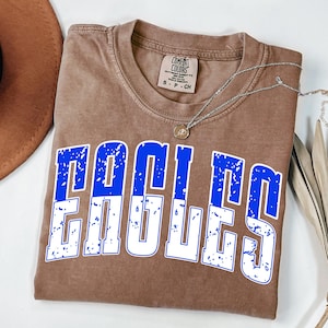 May include: A brown Comfort Colors t-shirt with the word "EAGLES" in blue and white distressed lettering. A silver necklace with a pendant is draped across the shirt. The shirt is a size small.