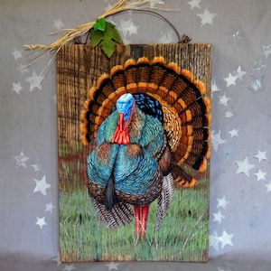 Magnificent Plumage, game bird, wildlife, hand painted barnwood art, 11 1/4” x 18 1/2”
