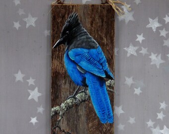 Most Stellar Jay, western jay bird, corvid, unique hand painted art on aged wood, 6 1/2” x 15”