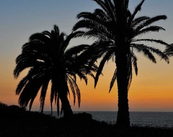 PALM Trees at SUNSET PHOTOGRAPHY, Various Sizes