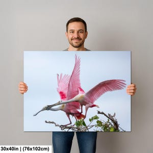 A man is holding a framed print of a pink bird in flight, which appears to be a large print size of 40 inches (76.102 cm) or larger.
