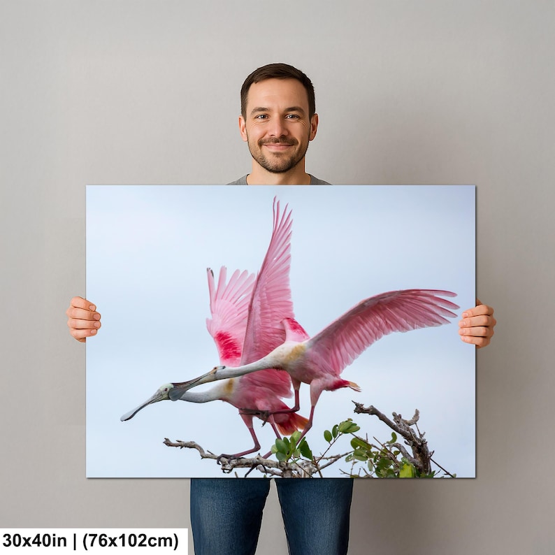 A man is holding a framed print of a pink bird in flight, which appears to be a large print size of 40 inches (76.102 cm) or larger.