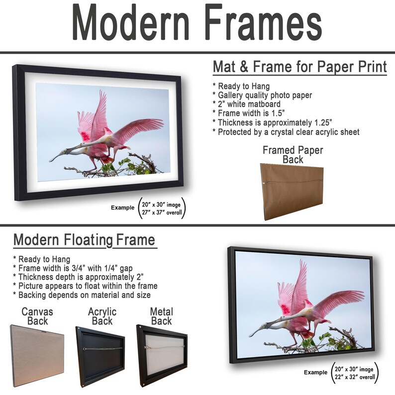 The image is a collage of two framed pictures, one of a pink bird and the other of a tree branch with a bird perched on it. The framed pictures are displayed in various sizes and frame types, including a modern floating frame and a mat and frame for paper print.