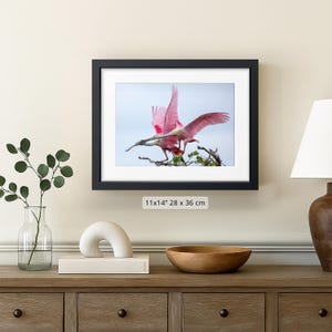 a framed photograph of a pink bird with outstretched wings, hanging on a wall above a wooden dresser.