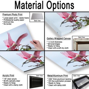 The image is a collage of multiple images, including a close-up of a pink bird in flight, a close-up of a branch with green leaves, and a close-up of a person's hand holding a pen. The collage also includes a close-up of a frame with a picture of a pink bird on it, a close-up of a metal/aluminum print, and a close-up of a gallery-wrapped canvas.