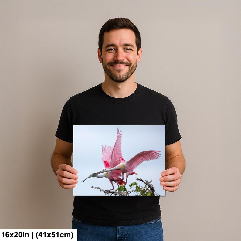 A man is holding a framed photograph of a pink bird with outstretched wings, which appears to be a close-up of the bird in flight.