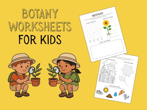 Botany Worksheets for Kids
