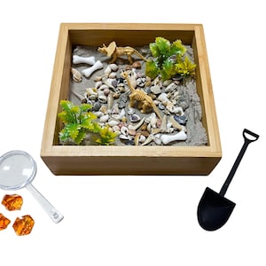 Pote Sensorial de Paleontologia - Grande, com Fósseis de Dentes de Tubarão Reais | Kit de Escavação de Dinossauros para Crianças | Atividade STEM e Montessori, Brincadeira de Faz de Conta