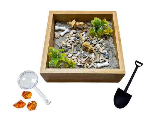 Paleontology Sensory Jar - Large | Dinosaurs | Includes Real Shark Teeth Fossils!