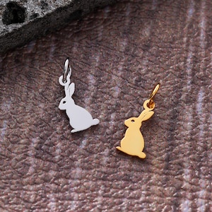 Puede incluir: Dos pequeños colgantes con forma de conejo. Uno es plateado, el otro dorado. Ambos tienen un lazo en la parte superior para sujetarlos a una cadena o pulsera. Los colgantes se muestran sobre una superficie marrón texturizada.