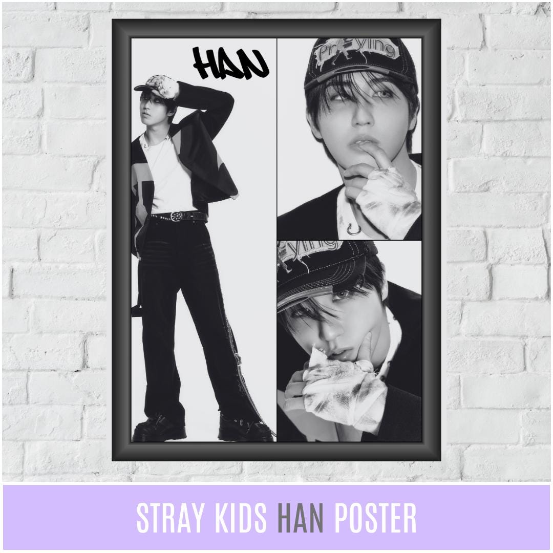 straykids HAN トレカ14枚＋CD2枚＋ミニポスター Han Official Mini Poster Stray Kids Mini Album Maxident Genuine