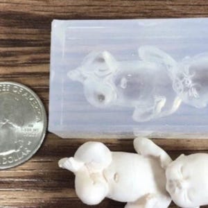 May include: A clear silicone mold of a baby in a sleeping position. The mold is about the size of a quarter.