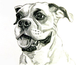 Custom Pet Portrait Graphite on Paper