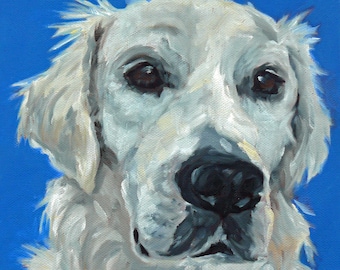 Golden Retriever White Pet Portrait