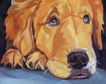 Pet Portrait Golden Retriever Dog Art Print