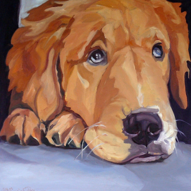 Golden Retriever custom dog portrait. Head on paws.