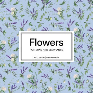 Padrões e elementos florais, padrões sem emendas, padrões florais em aquarela, clipart PNG