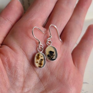 May include: A pair of silver dangle earrings. Each earring features an oval-shaped, bezel-set stone with a unique, natural pattern in shades of brown and cream. The earrings have a simple, elegant design.