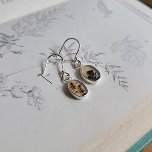 May include: A pair of silver dangle earrings with oval-shaped, light-colored stones. The stones have brown and black inclusions, resembling small landscapes. The earrings are displayed on a book page with botanical illustrations.
