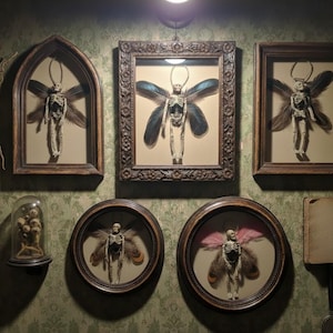 Art féerique momifié - Ornements et décorations à plumes uniques - Ange gardien
