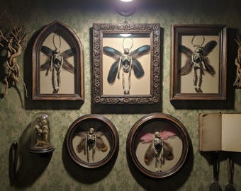 Gemummificeerde feeënkunst – Unieke gevederde ornamenten en decoraties - beschermengel