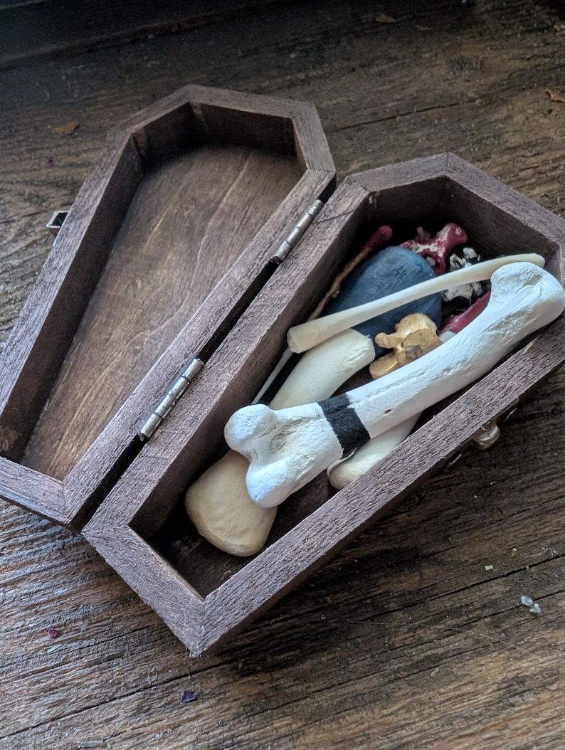 Op de afbeelding: Een donkerbruine, houten kist in de vorm van een kist, open om een verzameling botten en andere voorwerpen te onthullen. De kist is scharnierend en heeft een eenvoudige sluiting. De inhoud omvat geschilderde botten, een blauwe bol en kleine rode voorwerpen. De kist staat op een houten oppervlak.