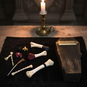 Anfänger Knochenguss Set- Neue Farbe!