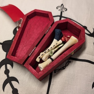 Set per calchi ossei per principianti