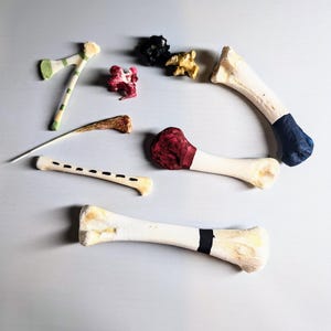 Op de afbeelding: Een assortiment van beschilderde botvormige objecten in verschillende kleuren. De objecten omvatten witte botten met geschilderde accenten in groen, rood, zwart en blauw. Sommige hebben strepen of effen gekleurde uiteinden. De objecten zijn gerangschikt op een lichtgrijze ondergrond.