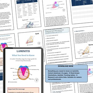 Könnte beinhalten: Ein digitaler Leitfaden mit dem Titel Laminitis: What You Need to Know, der 24 Seiten Bildungsinhalte für Pferdebesitzer und Fachleute enthält. Das Dokument umfasst beschriftete handgezeichnete Illustrationen der Hufanatomie und Tabellen.