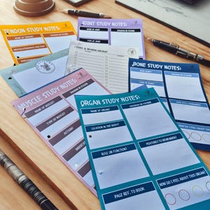 Puede incluir: Un conjunto de coloridas notas de estudio de anatomía, incluyendo tendones, articulaciones, músculos, huesos y órganos. Cada tarjeta de notas tiene secciones para diagramas, nombres y funciones. También se ven bolígrafos y una calculadora.