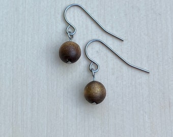 Earrings, One Pair, Dangles, Earth Tone, Coral Beads, Stainless Steel Ear Wires, Lightweight, 0.75" Long, Fishhook Style, Shiny Brown Color