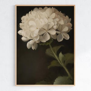 Elegant White Hydrangea, Vintage Floral Digital Print, Moody Vintage Wall Art, PRINTABLE Floral Painting, Instant Download, P0180