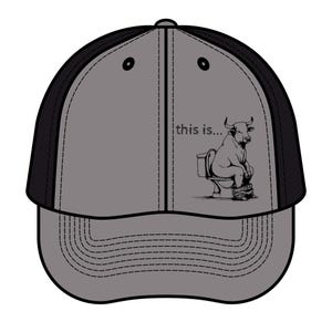 This is BS Vintage style Trucker hat