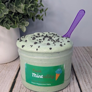 May include: A jar of mint-colored slime with dark chocolate chip-like sprinkles on top. A purple spoon rests in the slime. The jar has a green label with the words "Fresh Mintality" and a cartoon ice cream cone.