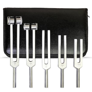 Puede incluir: Un conjunto de diapasones plateados con estuche negro. Cada diapasón muestra una frecuencia diferente en su tallo. El estuche rectangular tiene cierre de cremallera, ideal para guardar y transportar.