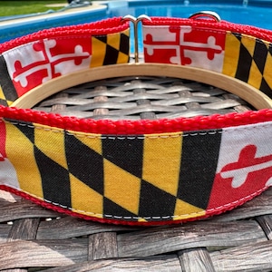 Maryland Flag Martingale Dog Collar Island Time
